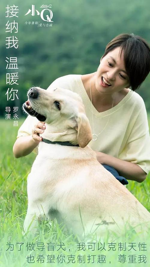 纽卡斯尔大学成绩单